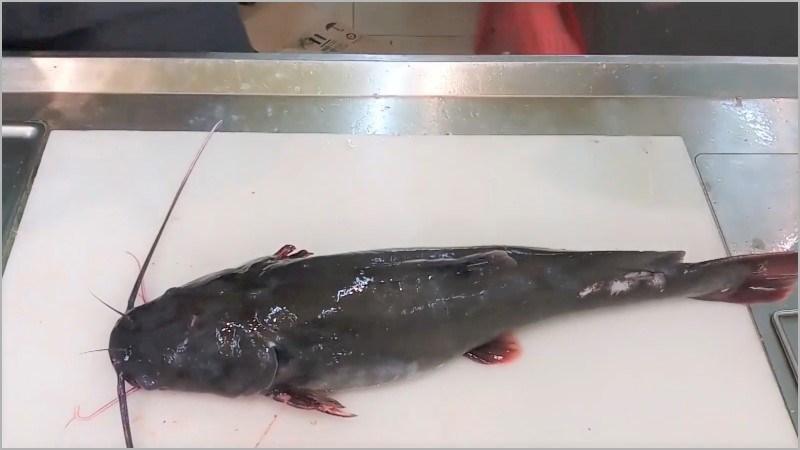 Hướng dẫn sơ chế cá lăng không bị tanh giữ nguyên chất dinh dưỡng