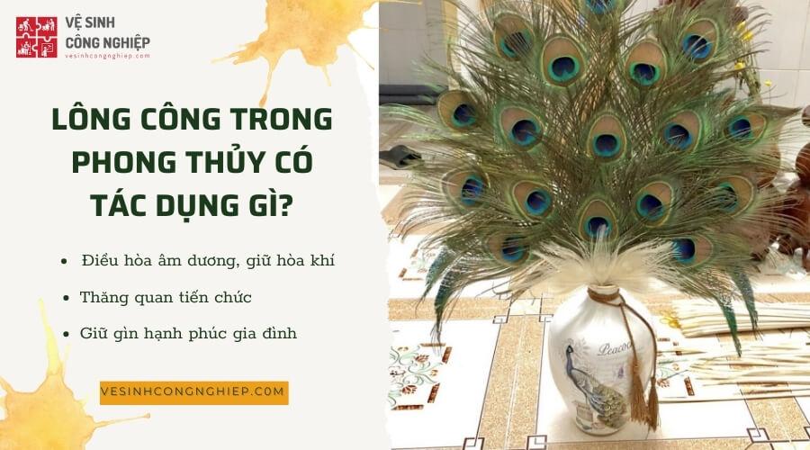 Hướng dẫn cách cắm lông công theo phong thủy thu hút tài lộc