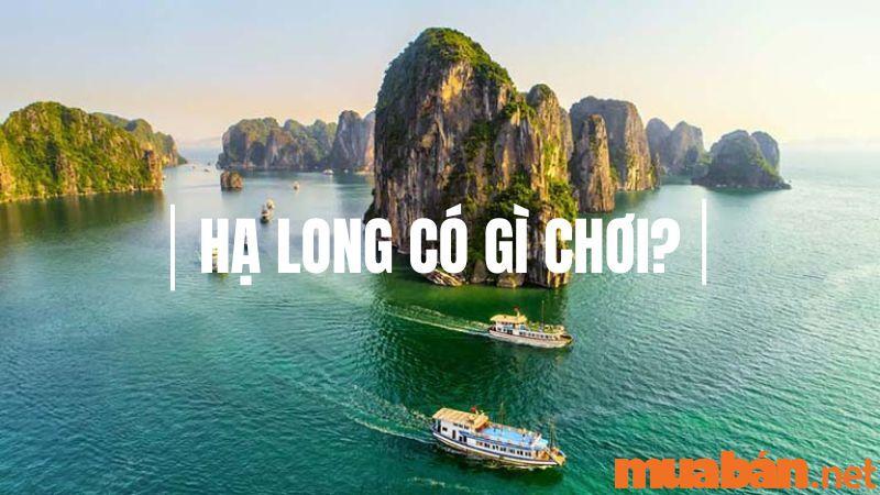 Hạ Long có gì chơi? 17+ địa điểm vui chơi không thể bỏ lỡ ở Hạ Long