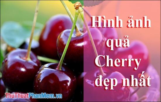 Bộ sưu tập hình ảnh đẹp nhất về quả Cherry