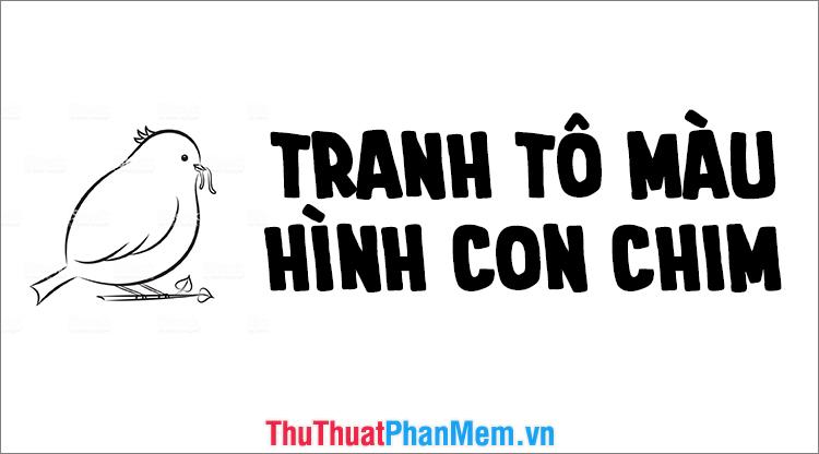 Tô màu tranh con chim cho bé thỏa thích