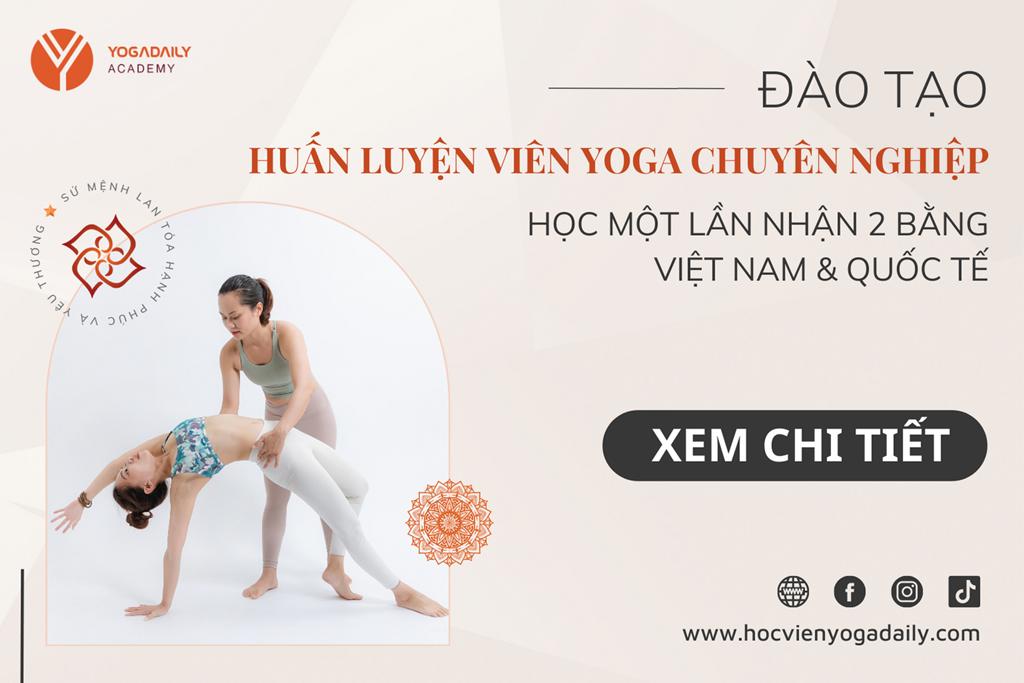 Học Yoga lấy bằng quốc tế - Học Master Yoga - Đào tạo HLV Yoga 500h - 1000h