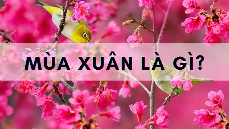 Mùa xuân bắt đầu từ tháng mấy