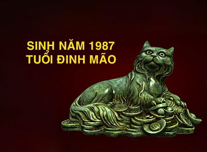 Tuổi Đinh Mão hợp hướng nào? Sinh năm 1987 chọn hướng nào để PHÁT TÀI