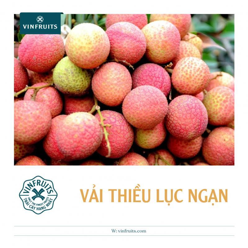 Giới thiệu về Quả Vải và Tác dụng Tuyệt vời (2020) - Vinfruits