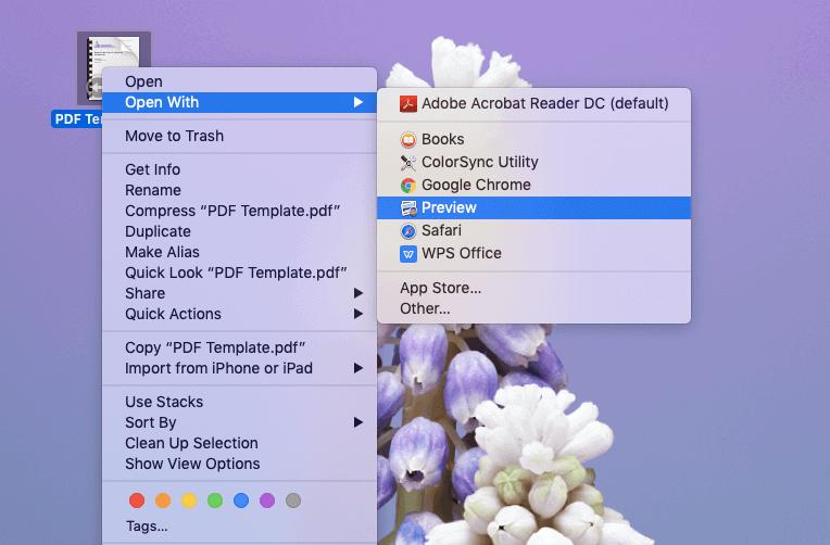 PDF Mở bằng Mac Preview