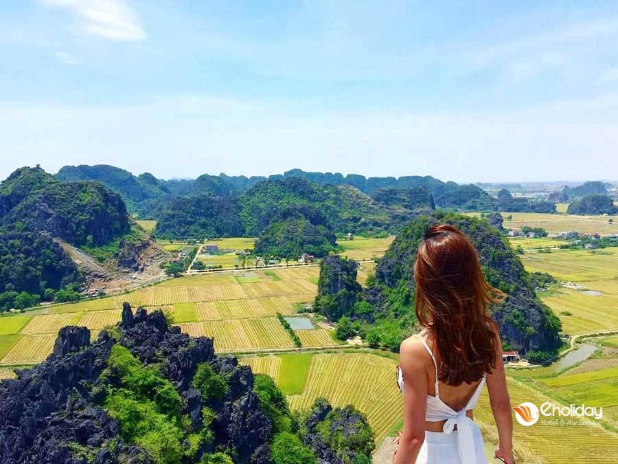 Mùa Lúa Chín ở Ninh Bình