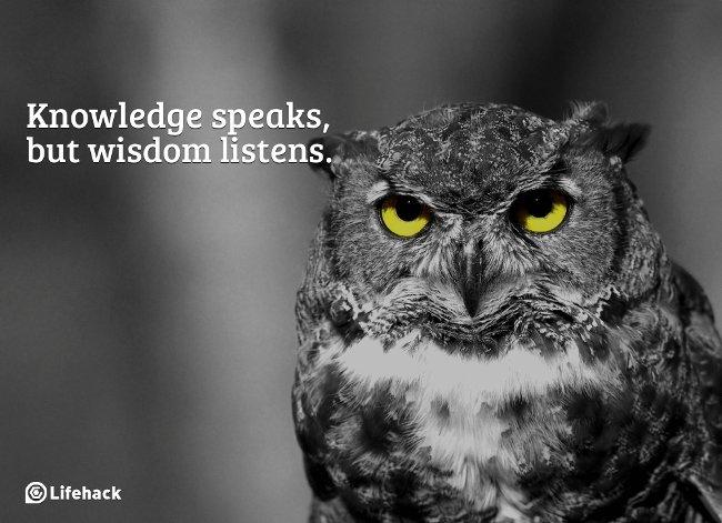 Hiểu biết, khôn ngoan và sáng suốt khác nhau như thế nào?