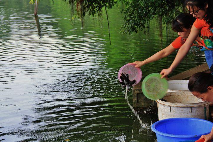 Nghi lễ phóng sinh