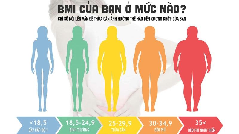 Phân độ béo phì là gì? Có những những cách chia nào?