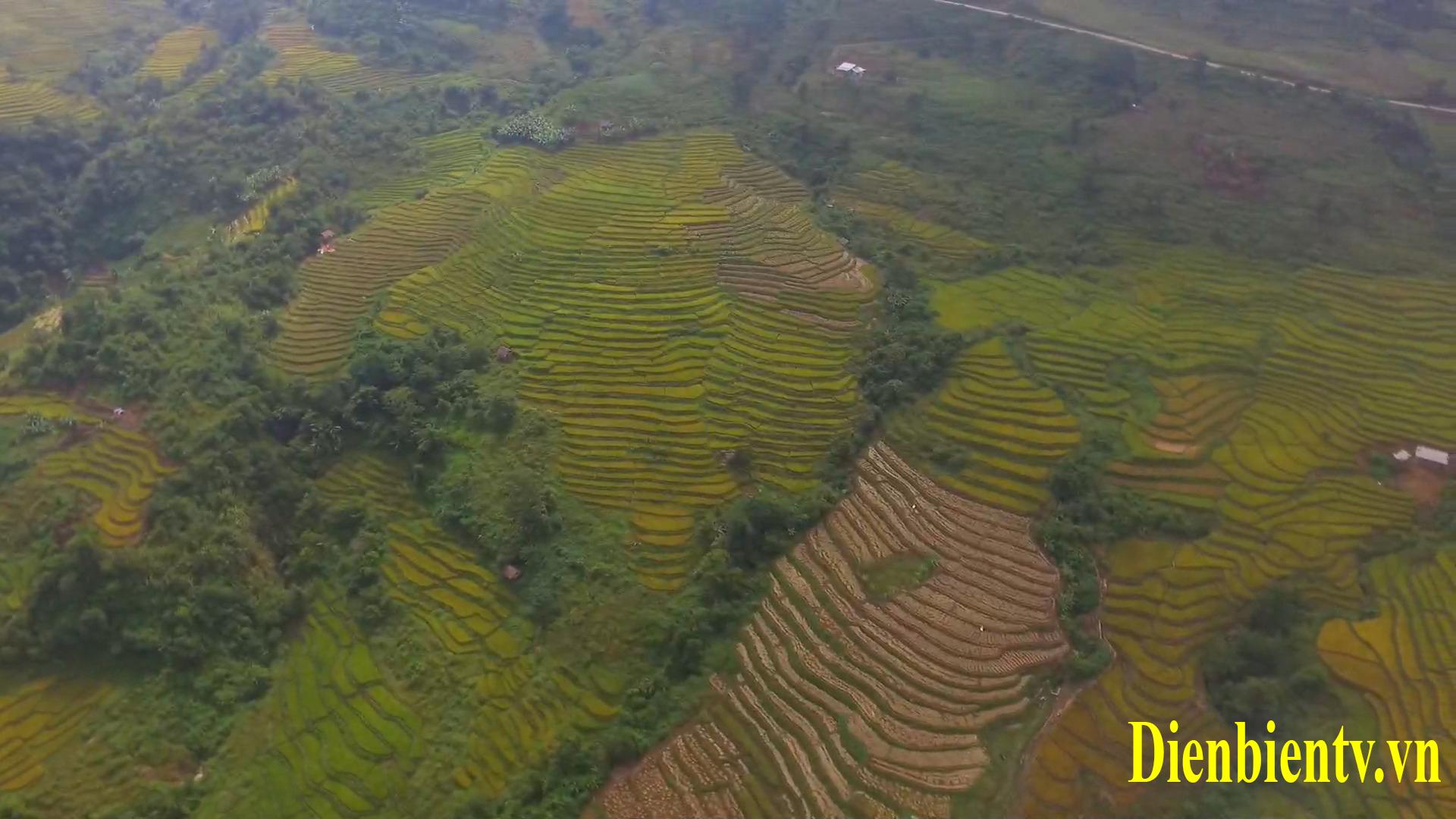 Ruộng bậc thang - Vẻ đẹp từ bàn tay lao động - Đài Phát thanh và Truyền hình Điện Biên