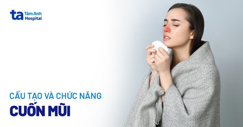 Cuốn mũi là gì? Cấu tạo, chức năng và các bệnh lý thường gặp