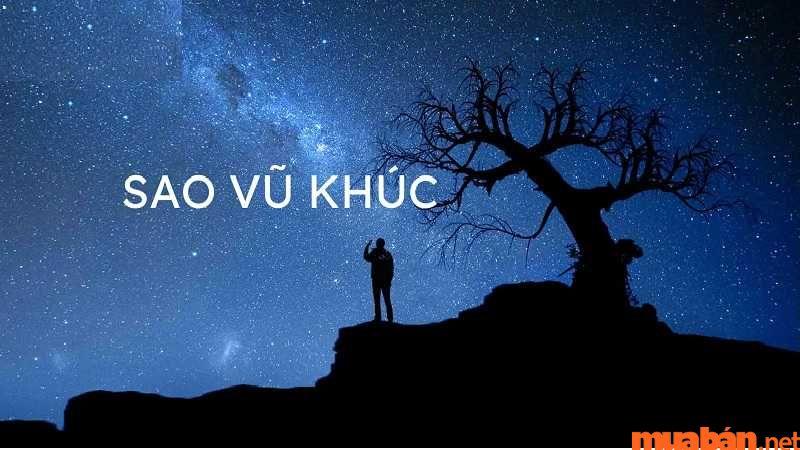 Ý Nghĩa Sao Vũ Khúc Tại Mệnh Và Từng Cung Trong Lá Số Tử Vi