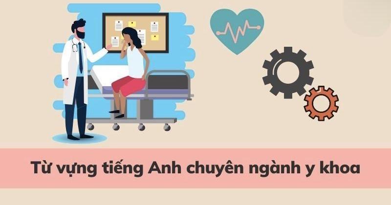 Gợi ý từ vựng tiếng Anh chuyên ngành Y khoa nhất định phải biết