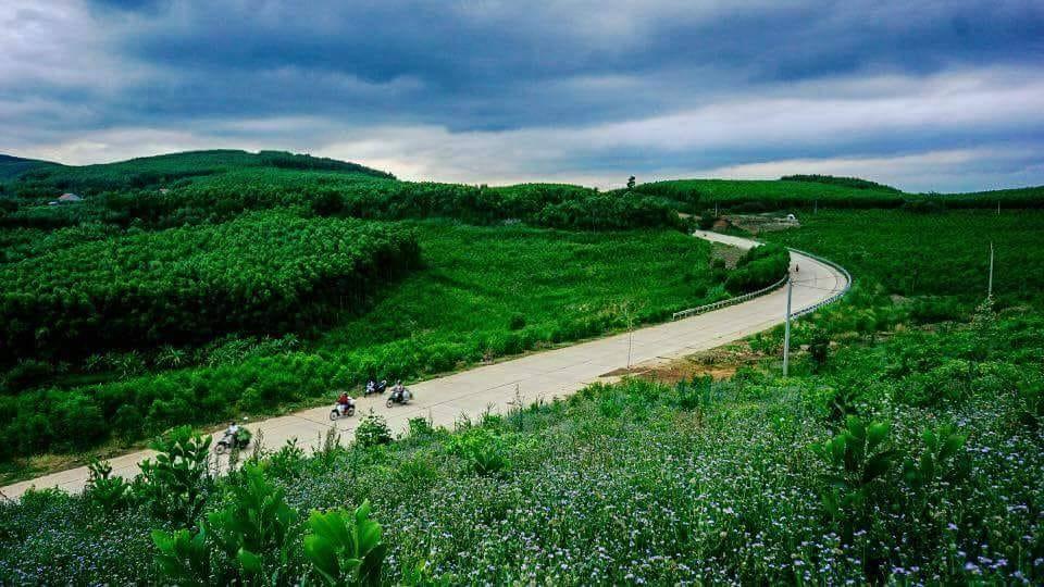 Cao nguyên Vân Hoà - Đà Lạt của Phú Yên