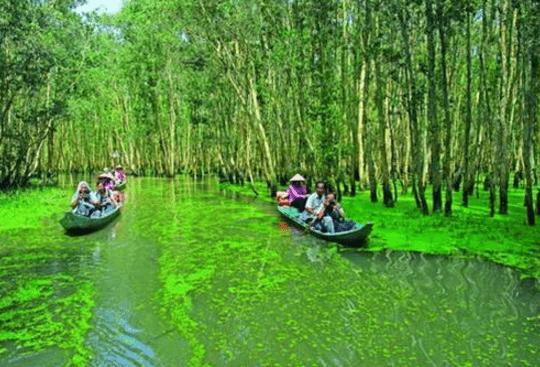 Du lịch sông nước ở miền Tây (Ảnh ST)