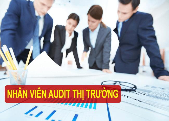 Nhân viên audit thị trường là gì ?