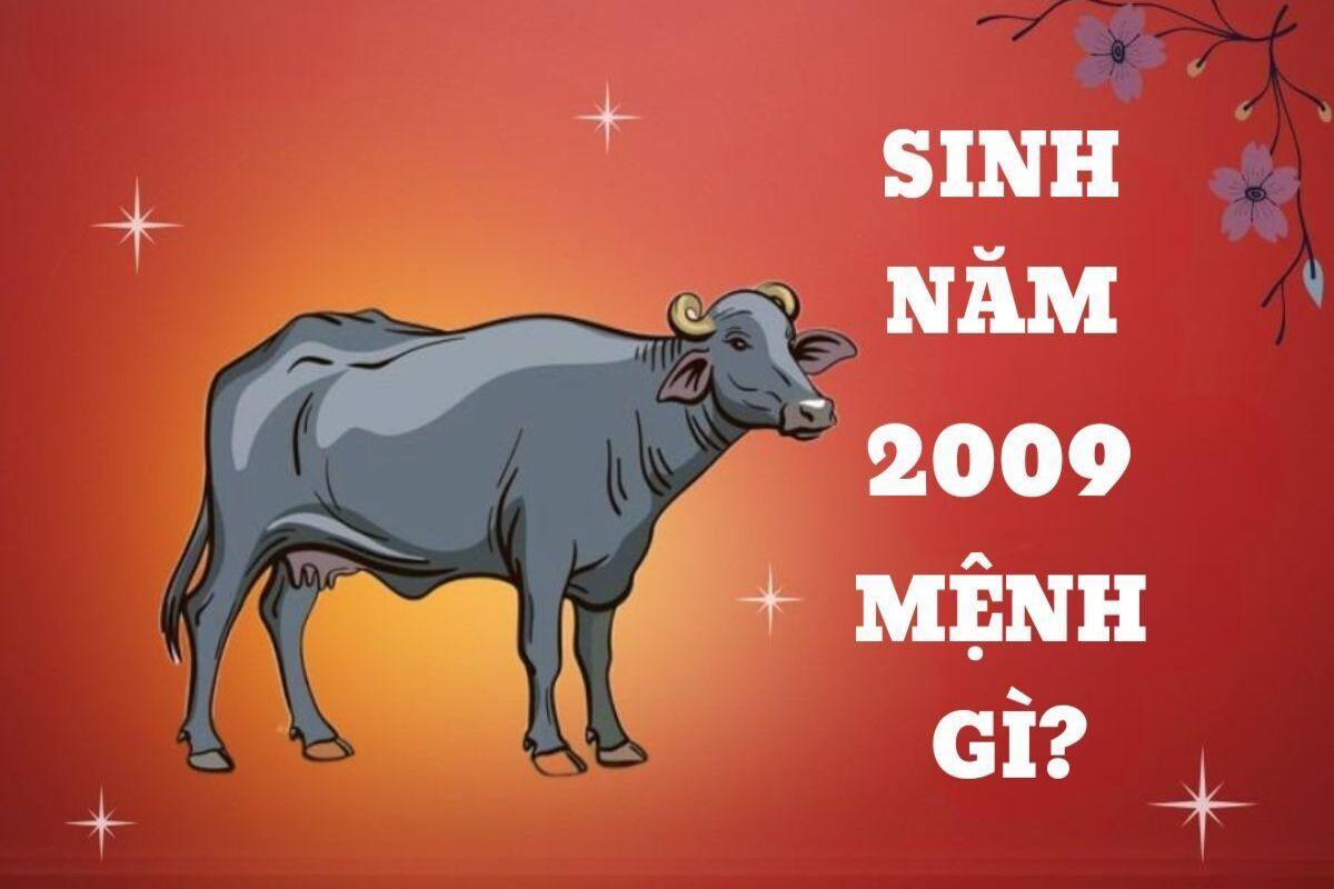 Sinh năm 2009 mệnh gì? Bản chủ mang mệnh Hỏa