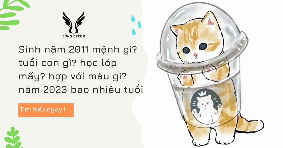 Sinh năm 2011 mệnh gì? tuổi con gì? hợp với màu gì? năm 2023 bao nhiêu tuổi