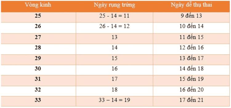 Cách tính ngày rụng trứng theo chu kỳ kinh nguyệt