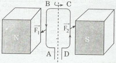 Giải SBT Vật lý 9 bài 27: Lực điện từ