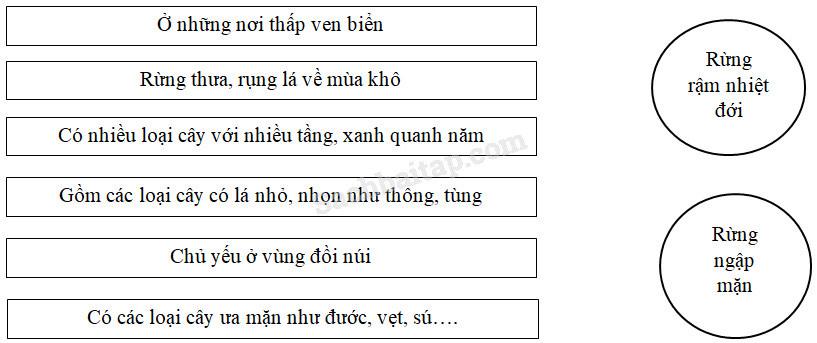 Vở bài tập Địa lí lớp 5 trang 11, 12 Bài 6: Đất và rừng