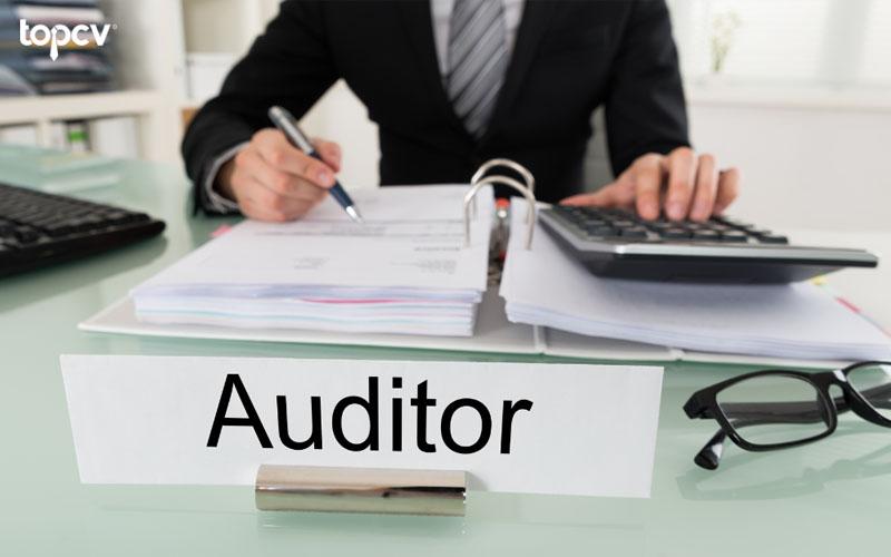 Kiểm toán viên - Auditor là người thực hiện hoạt động kiểm toán