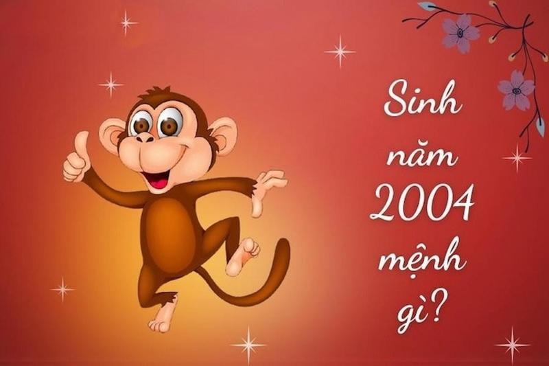 Sinh năm 2004 mệnh gì? Màu sắc may mắn và tuổi nào hợp?