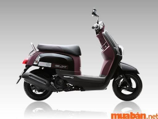 Mua Bán Xe Máy Yamaha Cuxi Cũ Quận Bình Tân, TP.HCM Giá Rẻ, Uy Tín T9/2024