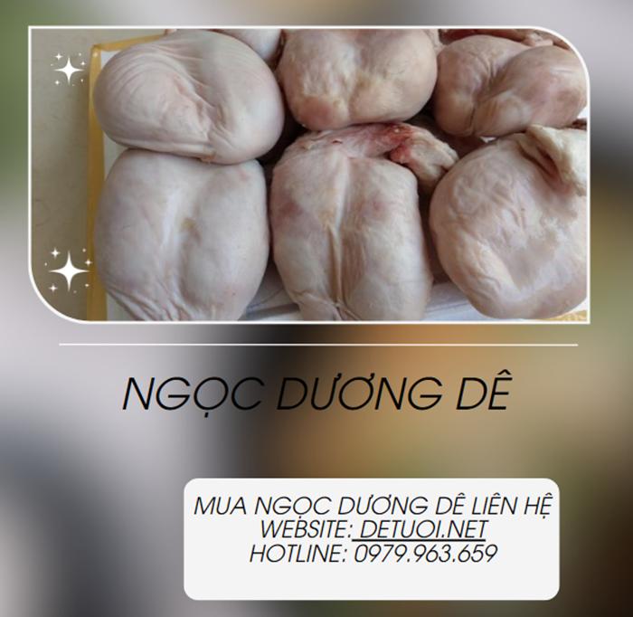 Món ngon từ ngọc dương dê