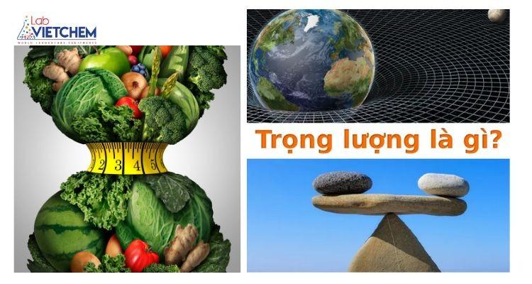 Trọng lượng là sức nặng của vật thể bất kỳ, có đơn vị là Newton