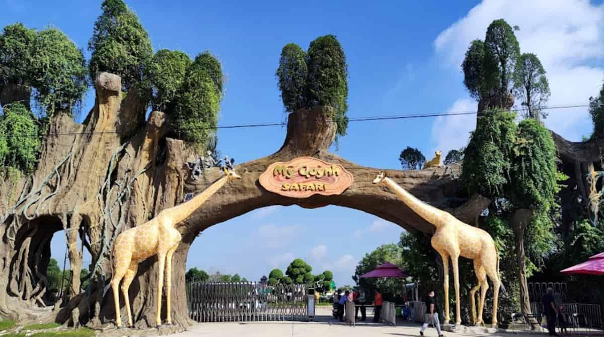 Sở thú MyQ Safari - thanh xuân của các bạn trẻ