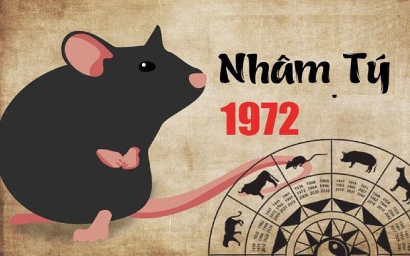 Đặc điểm của người sinh năm 1972 Nhâm Tý