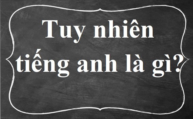 tuy nhiên tiếng anh là gì