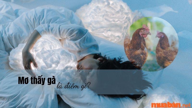 Mơ thấy gà là điềm gì?