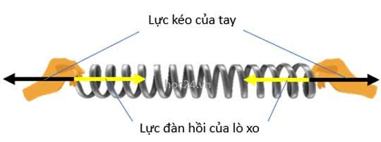 Ví dụ minh họa về thế năng đàn hồi của lò xo